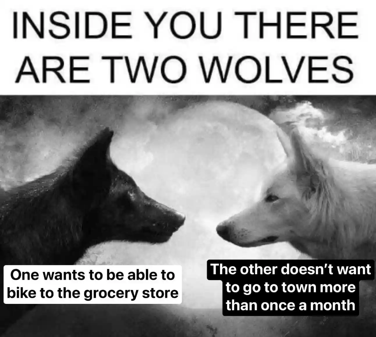 Two wolves meme arguing on grocery runs