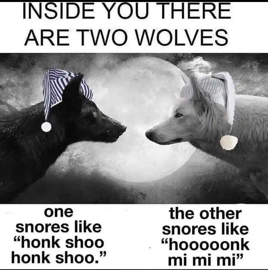 Two wolves meme in night caps snore loud