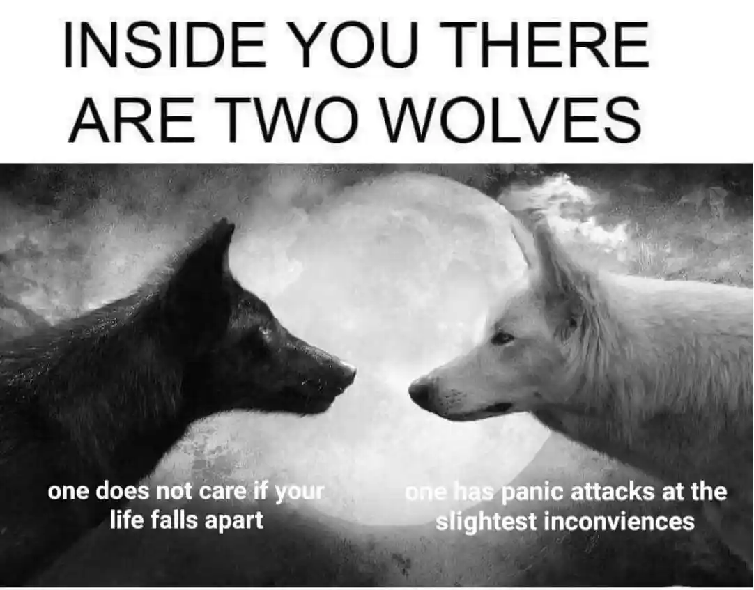 Two wolves meme show rival inner sides