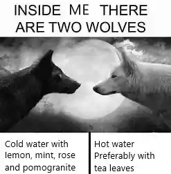 Two wolves meme showing hot and cold drink habits