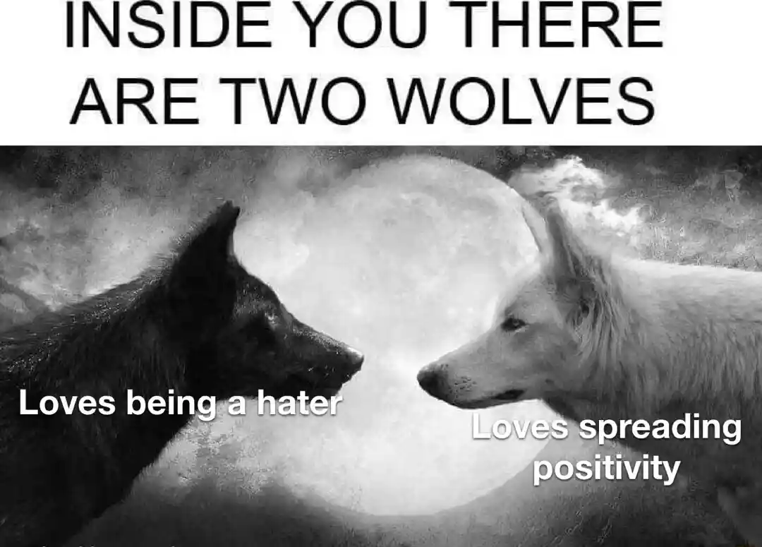 Two wolves meme showing opposite sides