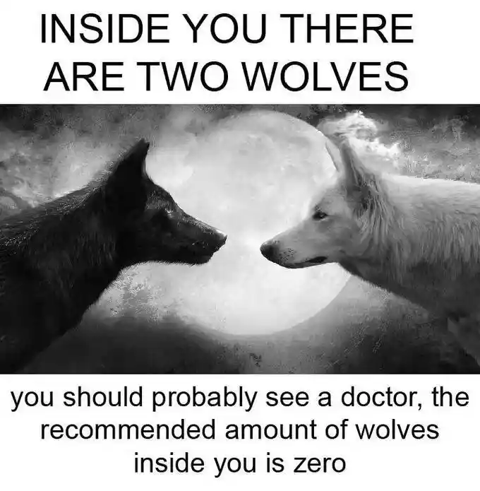 Two wolves meme you need to see a doctor