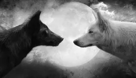 Inside you there are two wolves meme