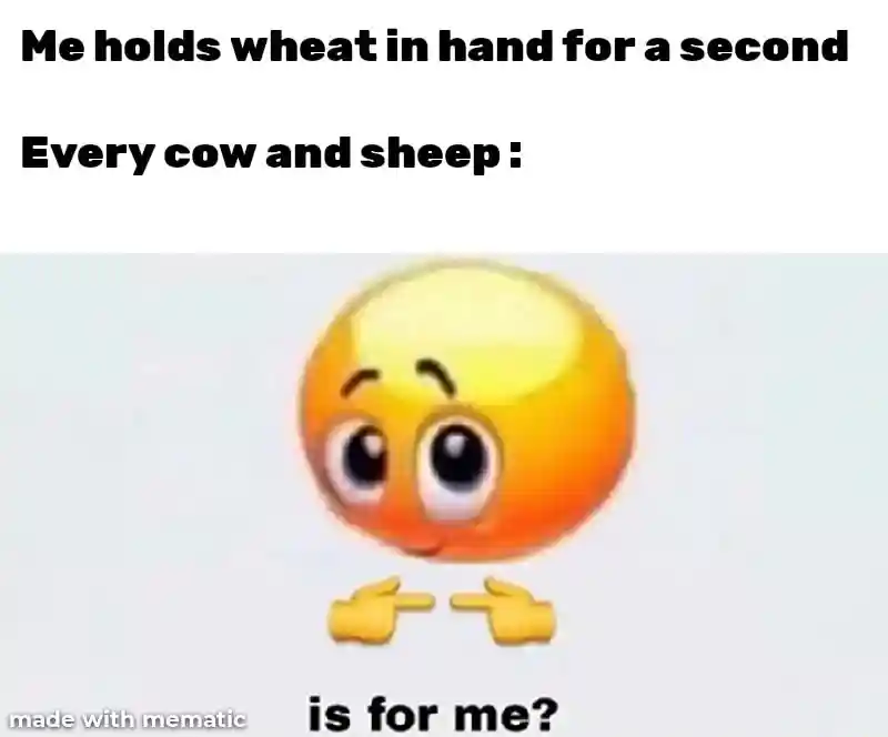 Is for me meme cows and sheep want wheat