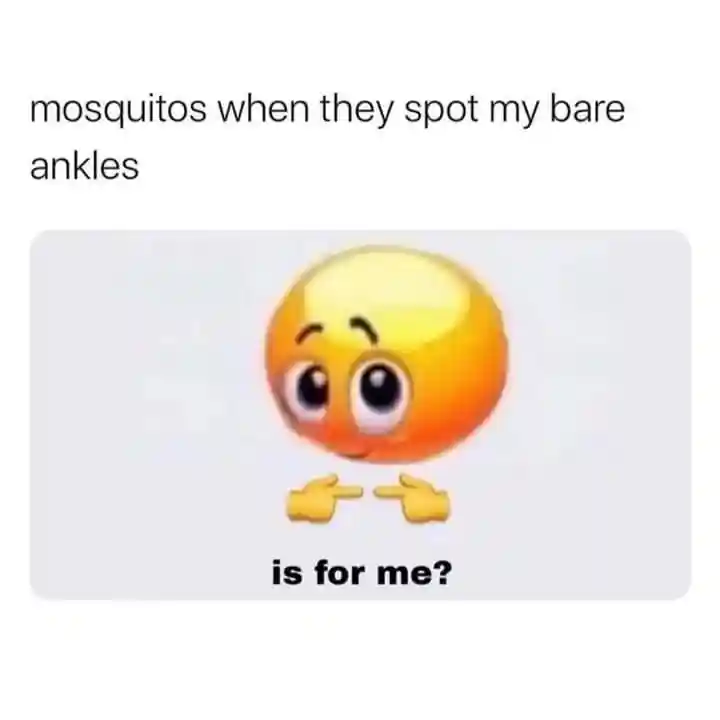 Is for me meme mosquitos see bare ankles