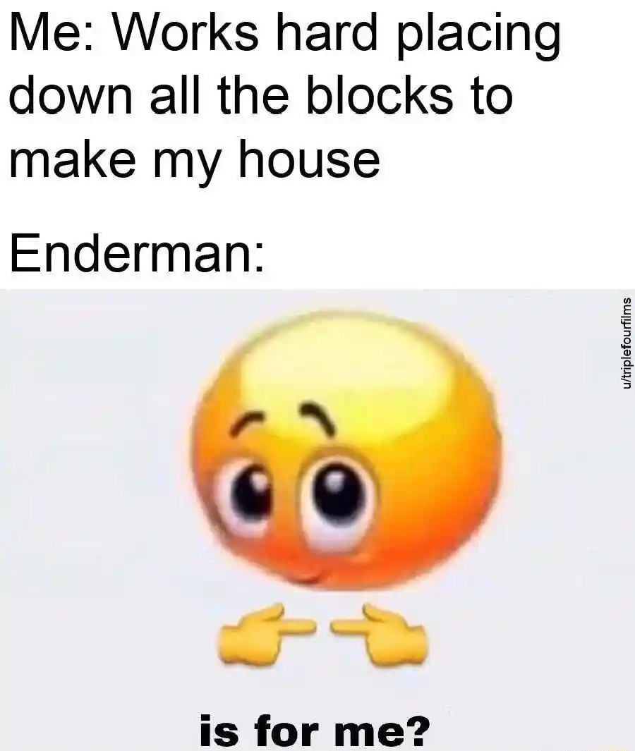 Is for me meme enderman takes your house