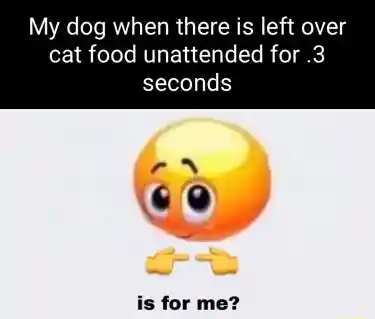 Is for me meme dog grabs extra cat food