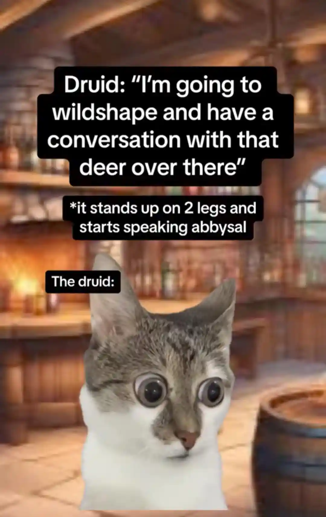 Dnd druid meme shocked at abyssal deer