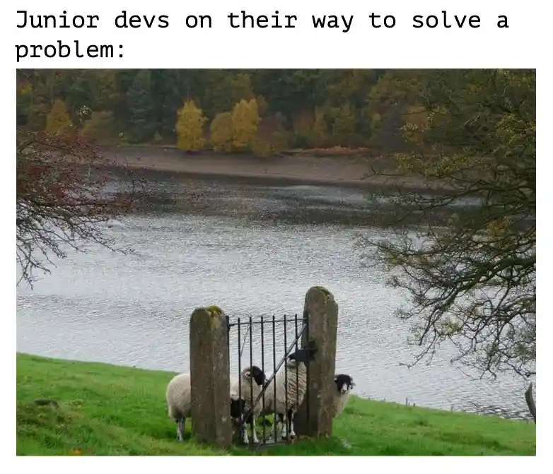 Junior devs meme stuck at gate to solve problem