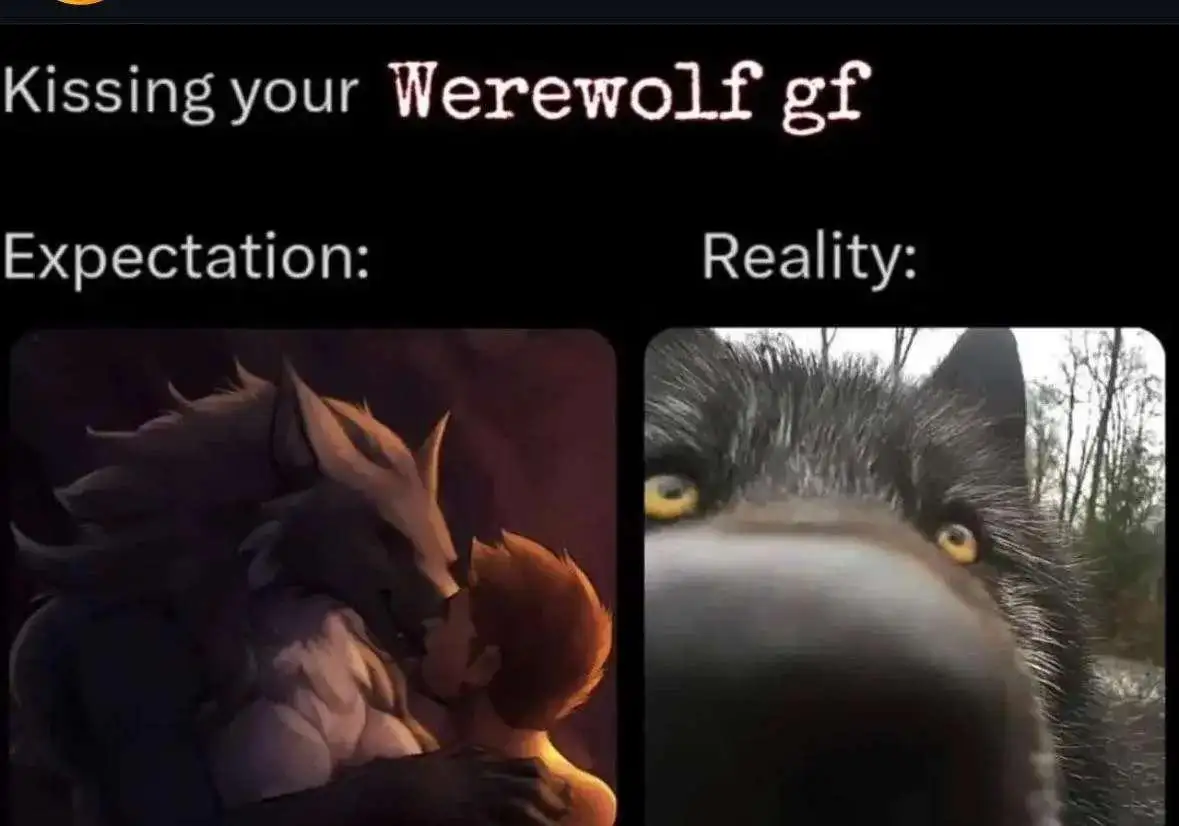 Kissing werewolf gf meme funny contrast