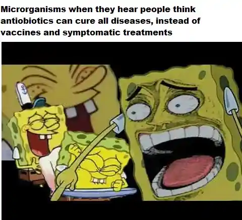Laughing spongebob meme laugh at wrong antibiotic misconception