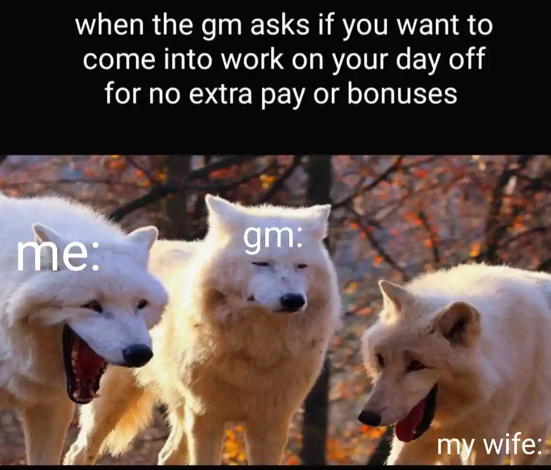 Laughing wolves meme react to unpaid day off work
