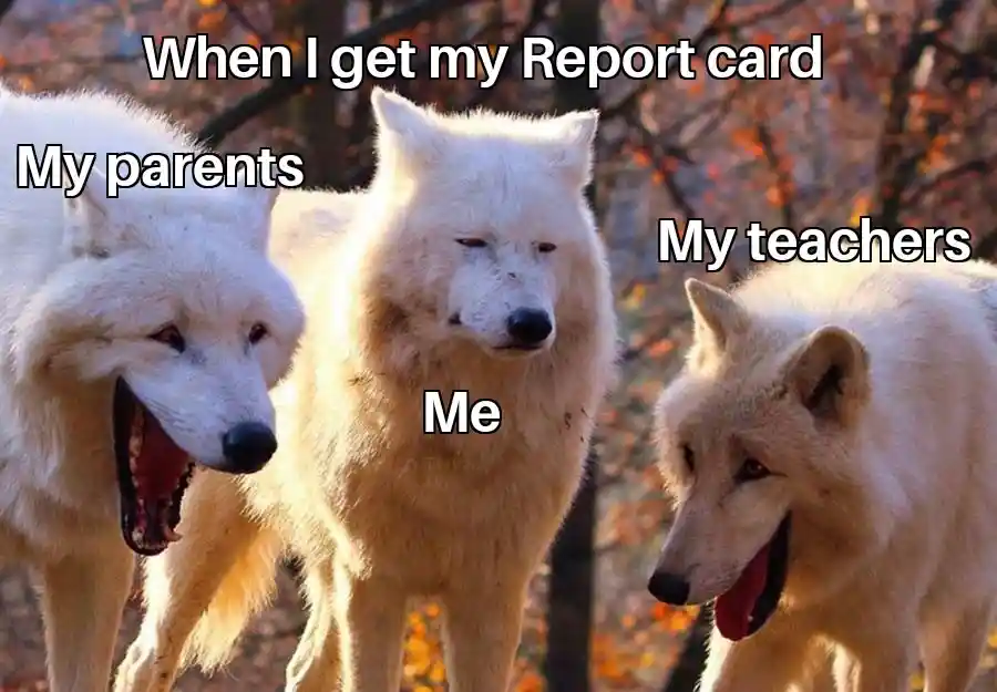 Laughing wolves meme get bad report card