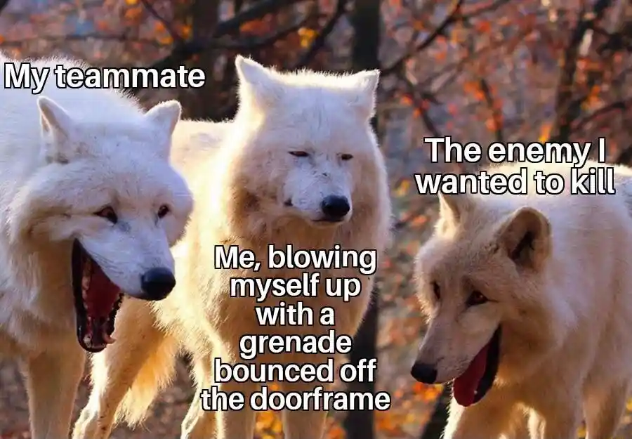 Laughing wolves meme grenade misplay