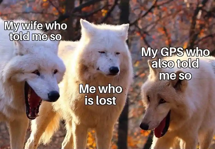 Laughing wolves meme lost as wife and gps said so
