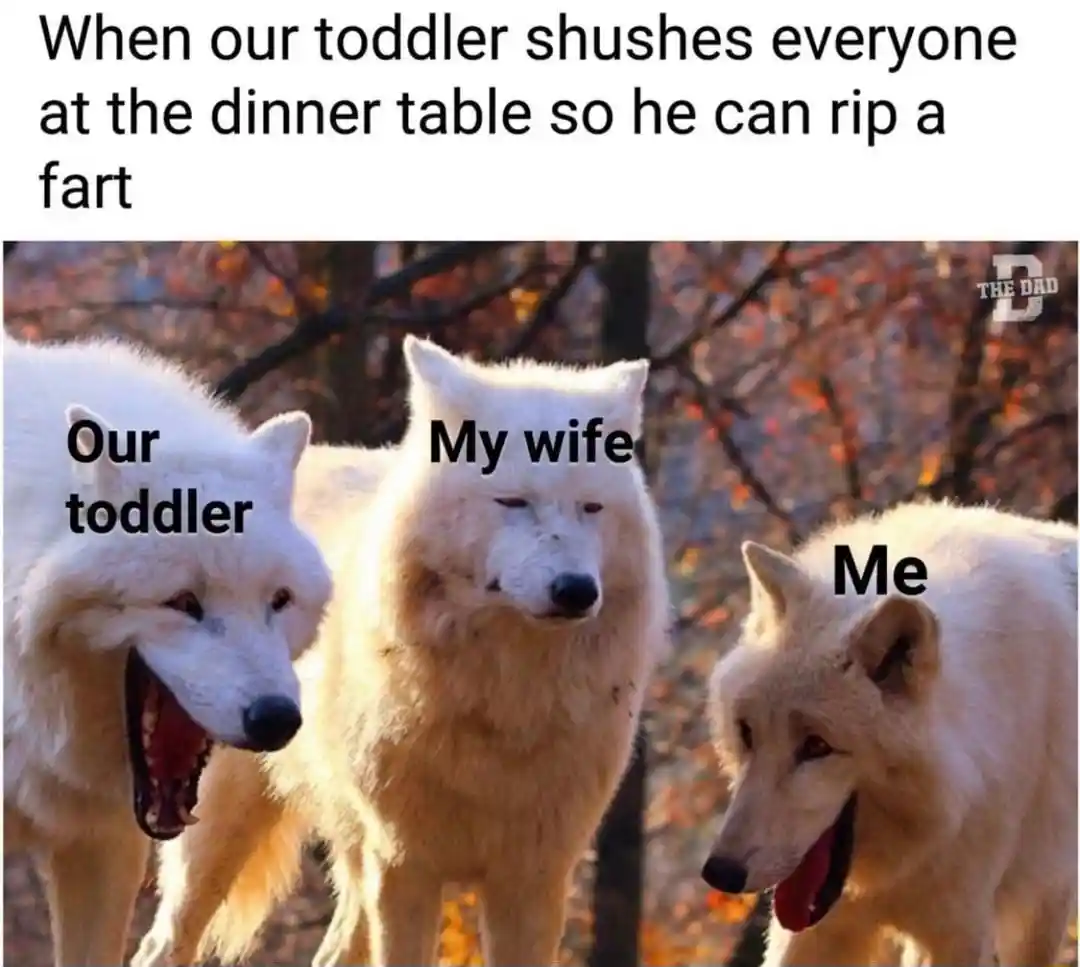 Laughing wolves meme toddler shushes family to fart