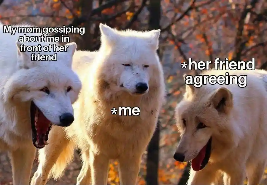 Laughing wolves meme mom gossips about me