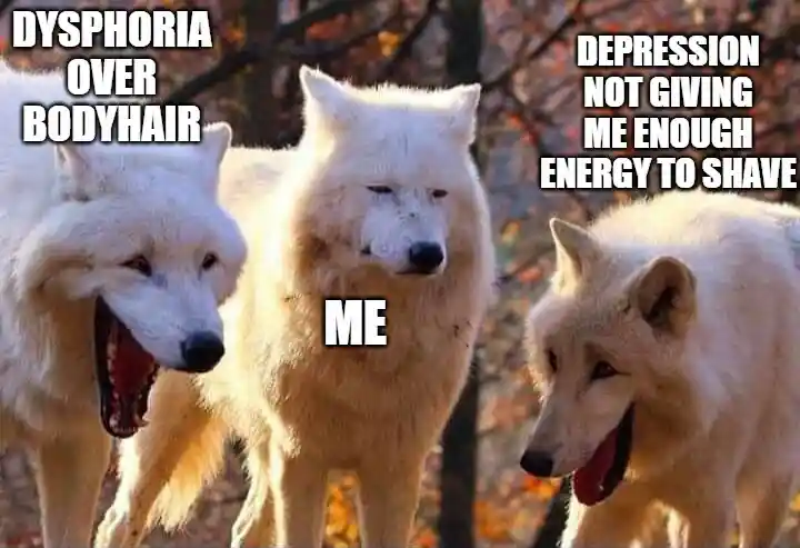 Laughing wolves meme dysphoria no shave
