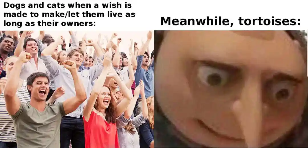 Pet long life wish meme happy vs smug