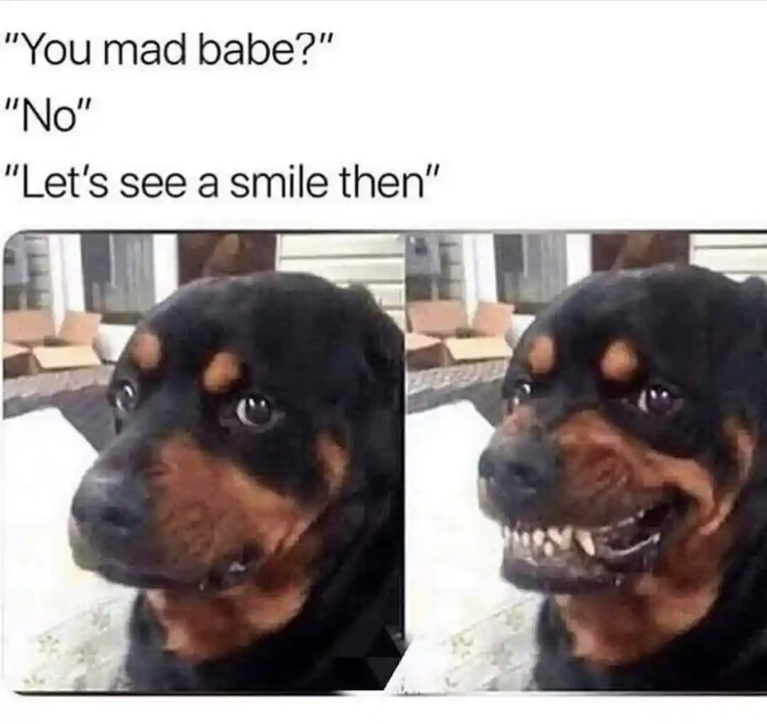 Mad rottweiler meme doing forced smile