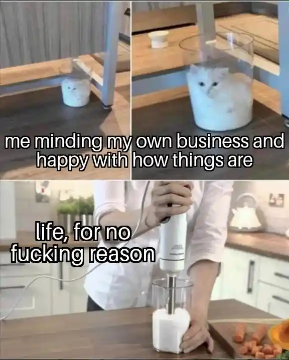 Life blender cat meme ruining your day