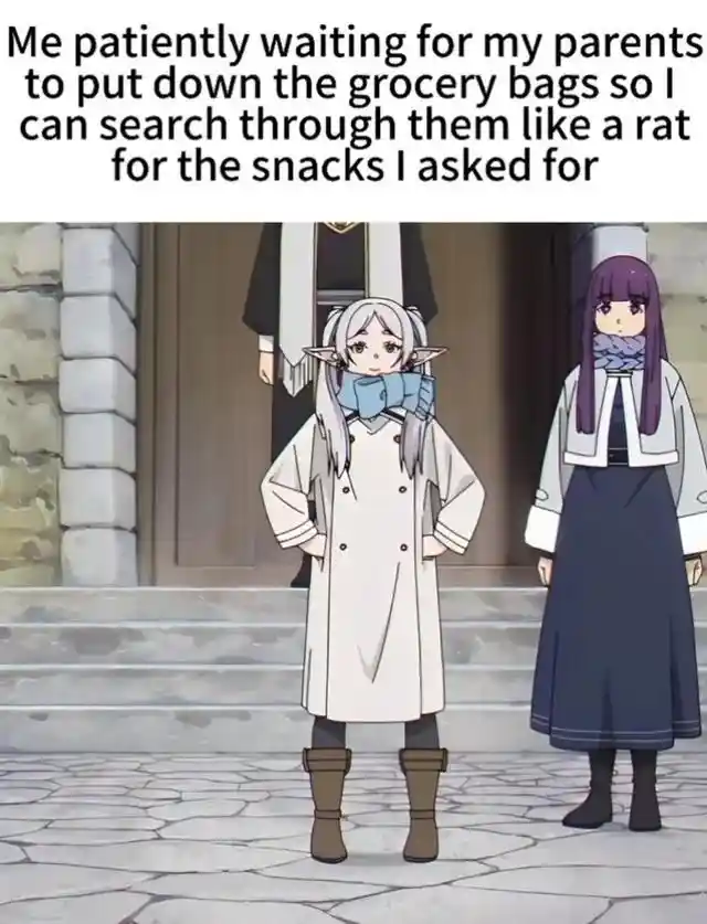 Snack hunt meme waiting for parents grocery bags