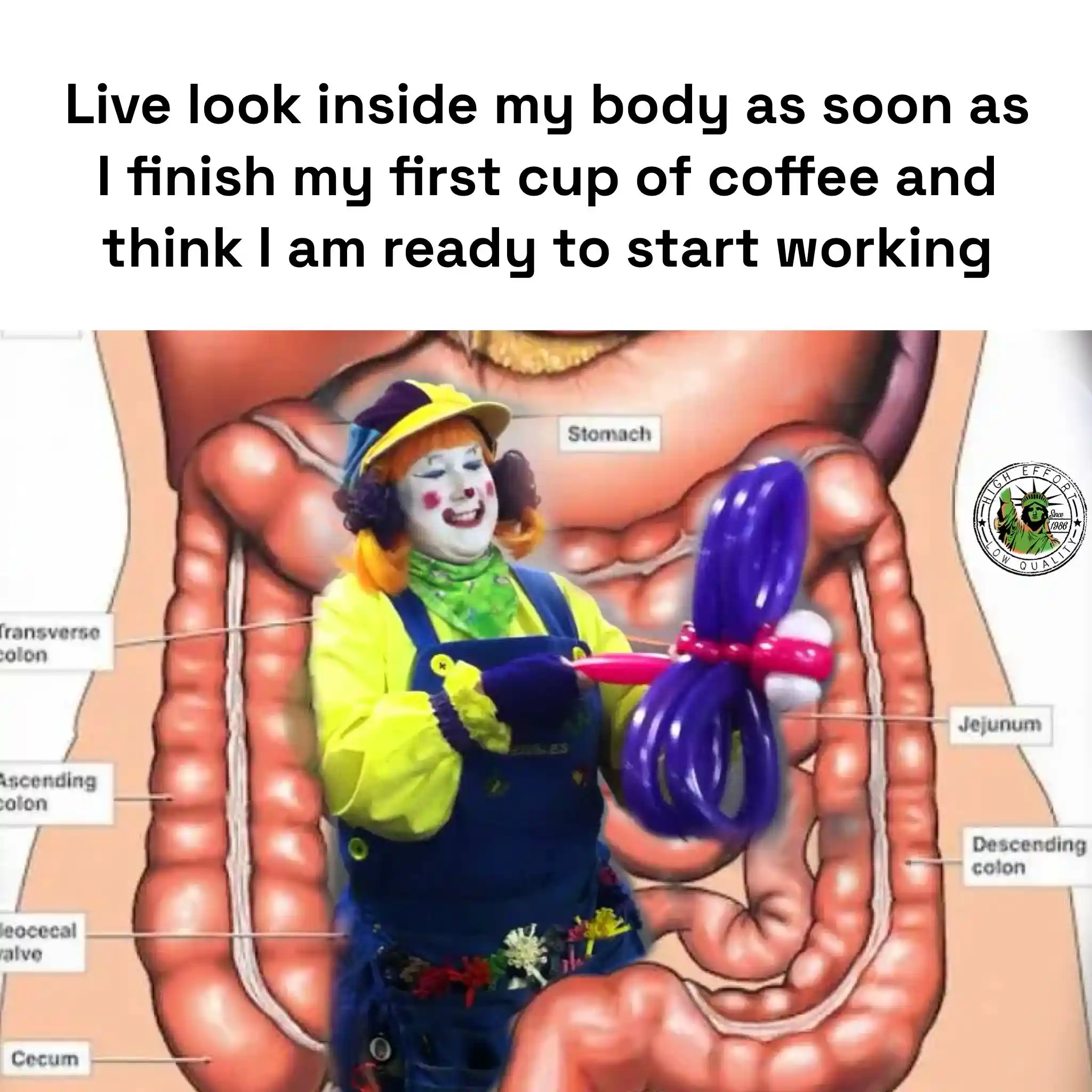 First coffee meme clown twisting balloon in gut