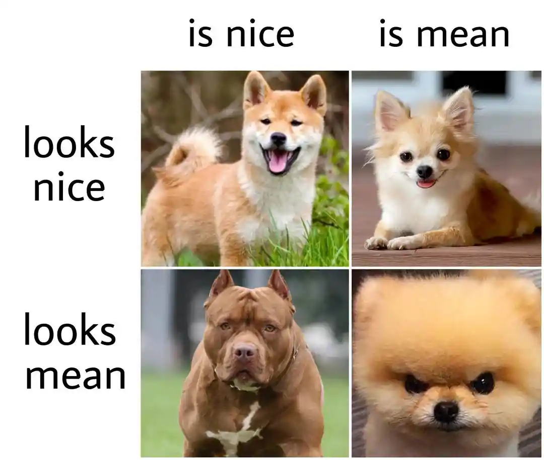 Dog personality meme shows look vs trait