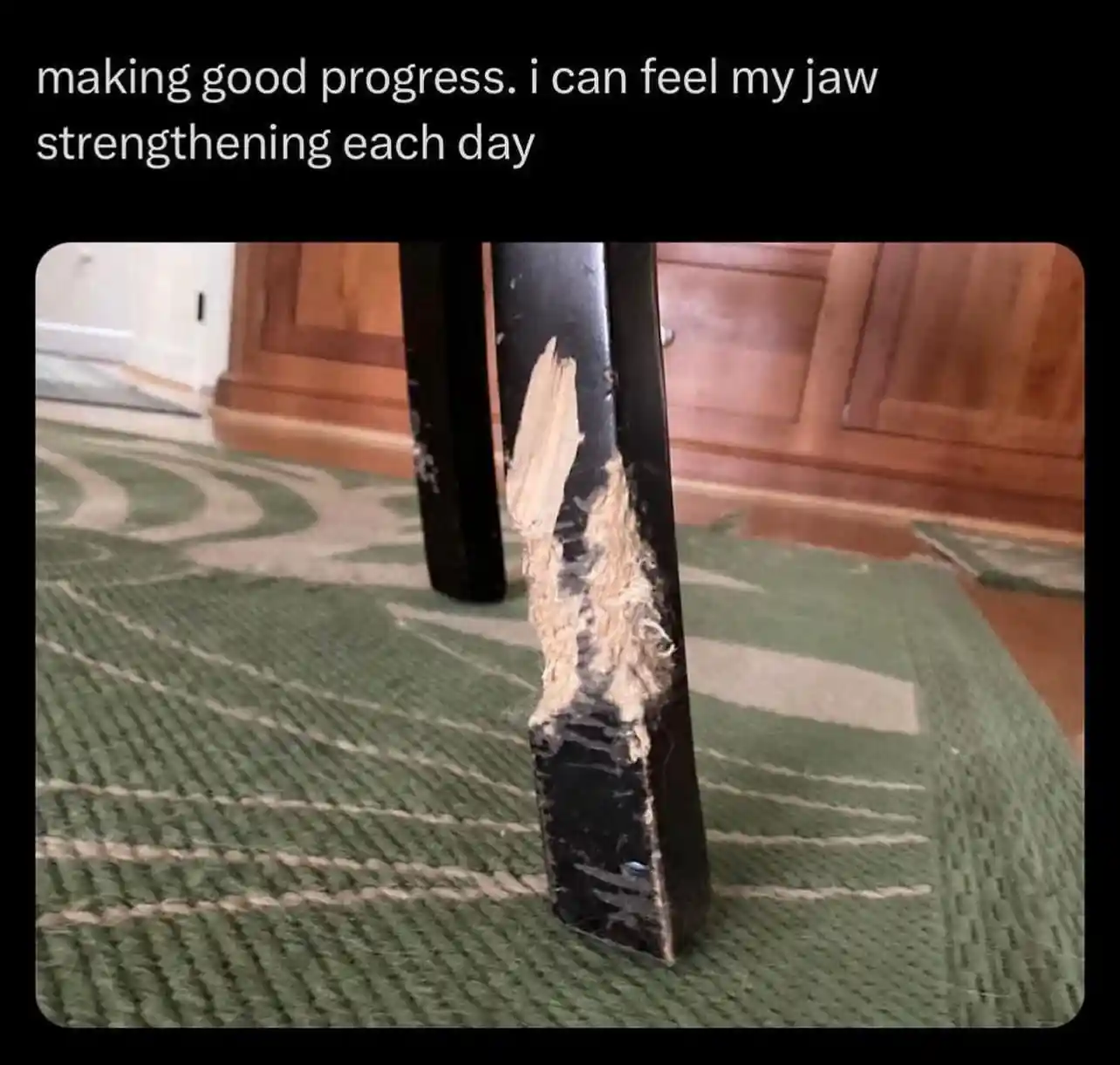 Chewed table leg meme boasting jaw gains
