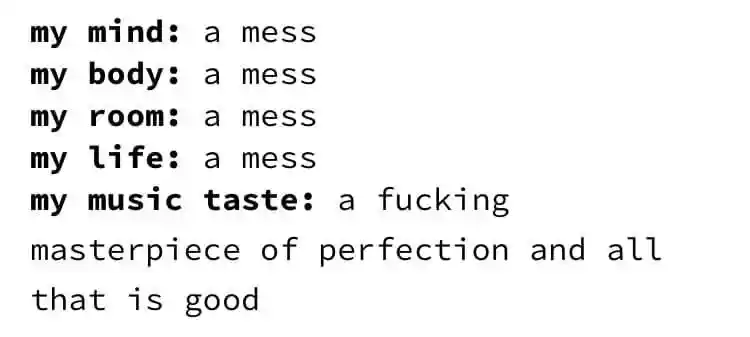 Messy life meme proud of music taste