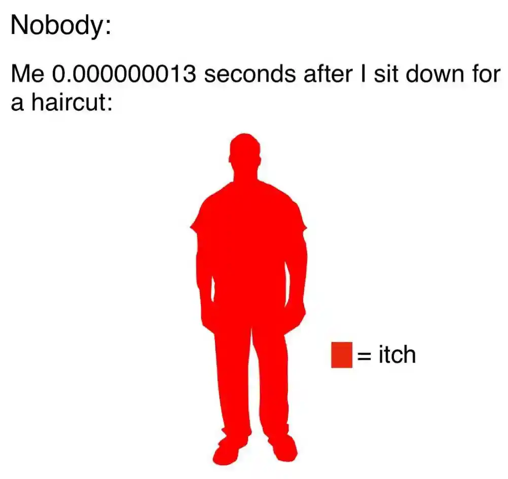 Haircut itch meme happen after sitting