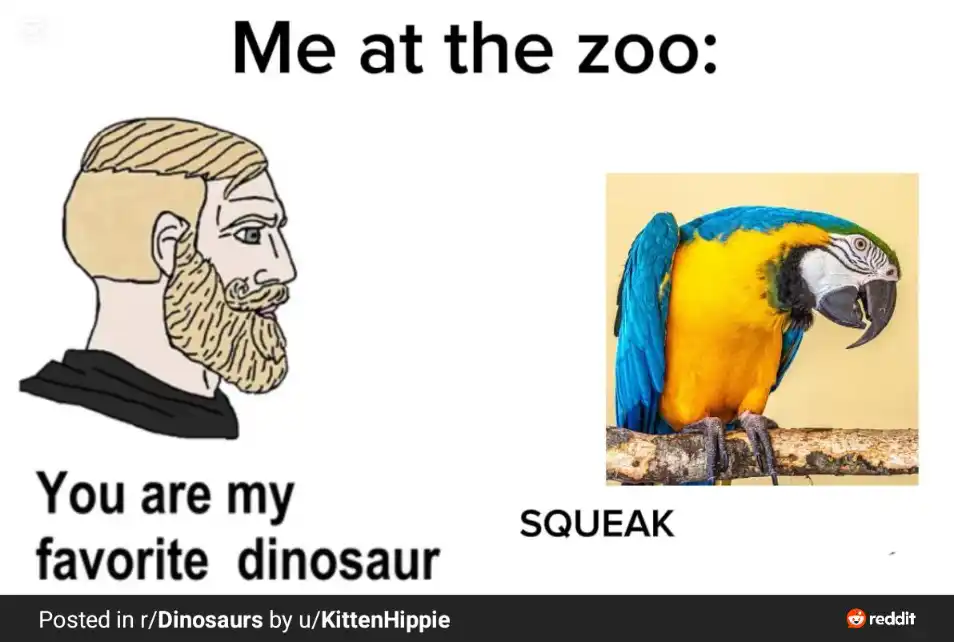 Zoo parrot meme calling it best dinosaur