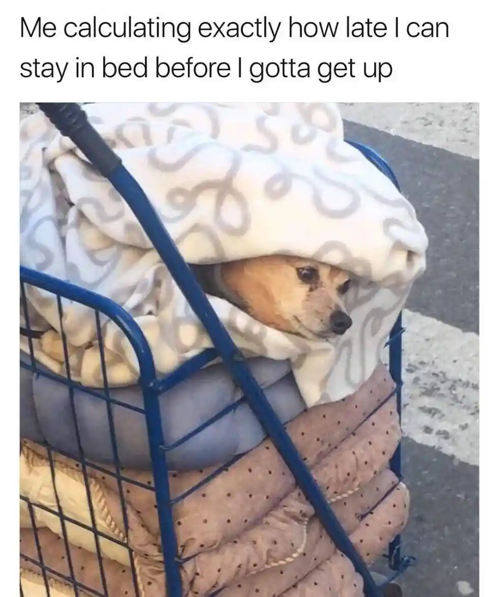 Snooze count meme not wanting to get up