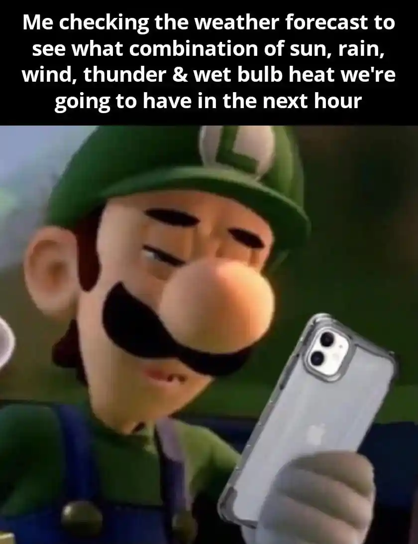 Luigi check weather meme stares at phone