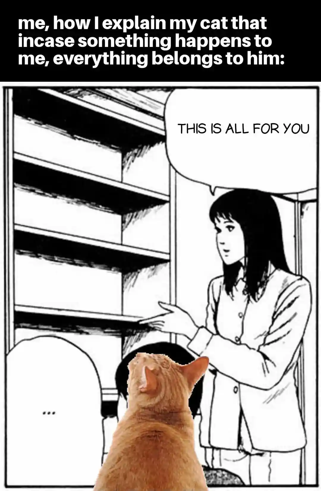 Cat will inherit meme all stuff is his