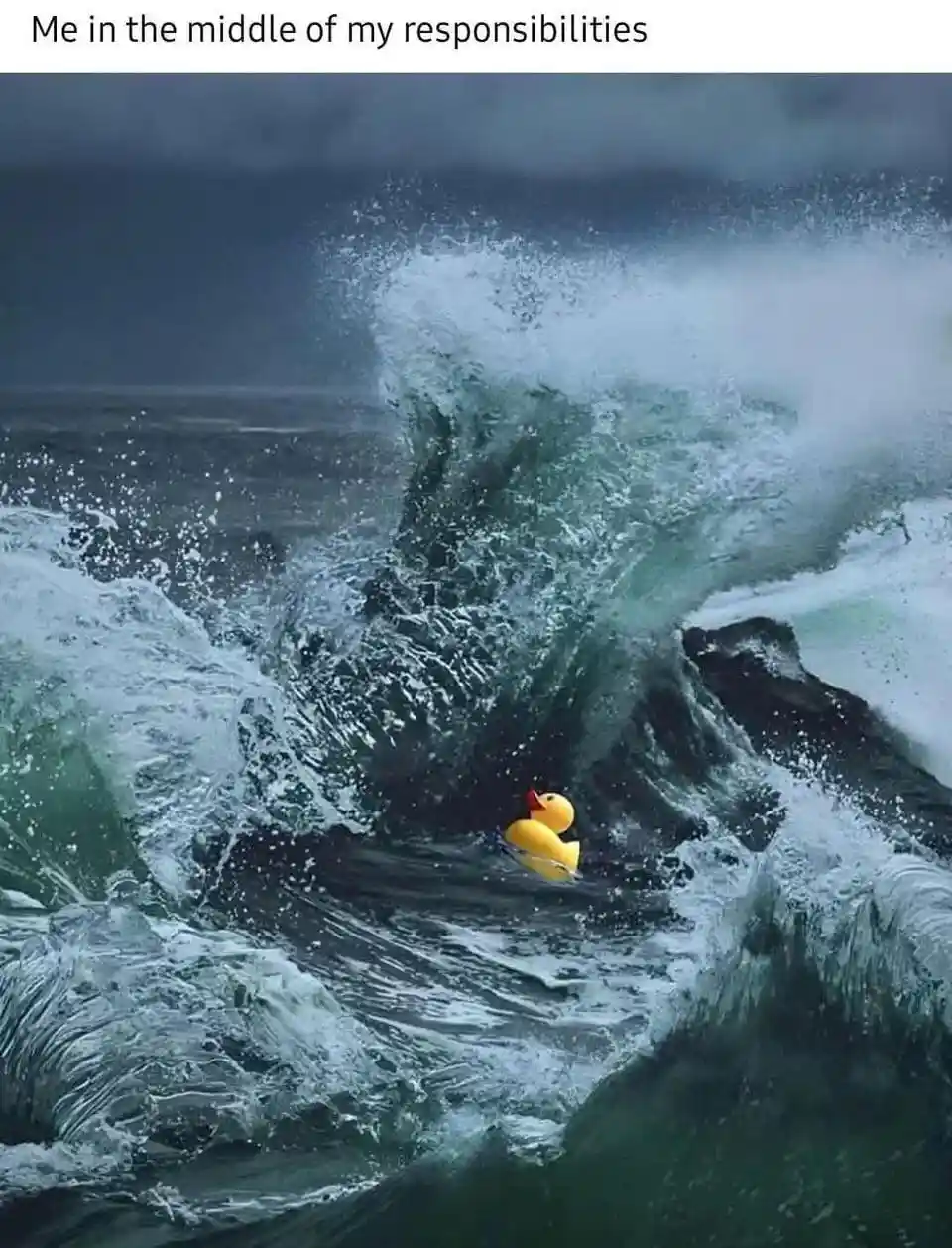 Rubber duck meme overwhelmed by duties