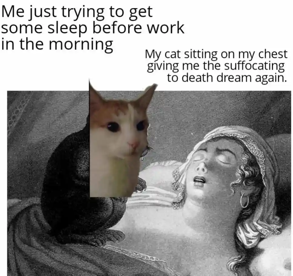 Cat on chest meme ruining pre work sleep