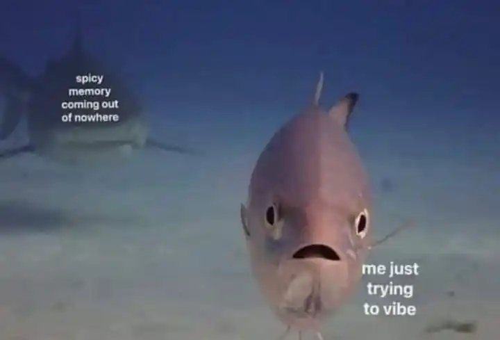 Spicy memory meme ruining your vibe