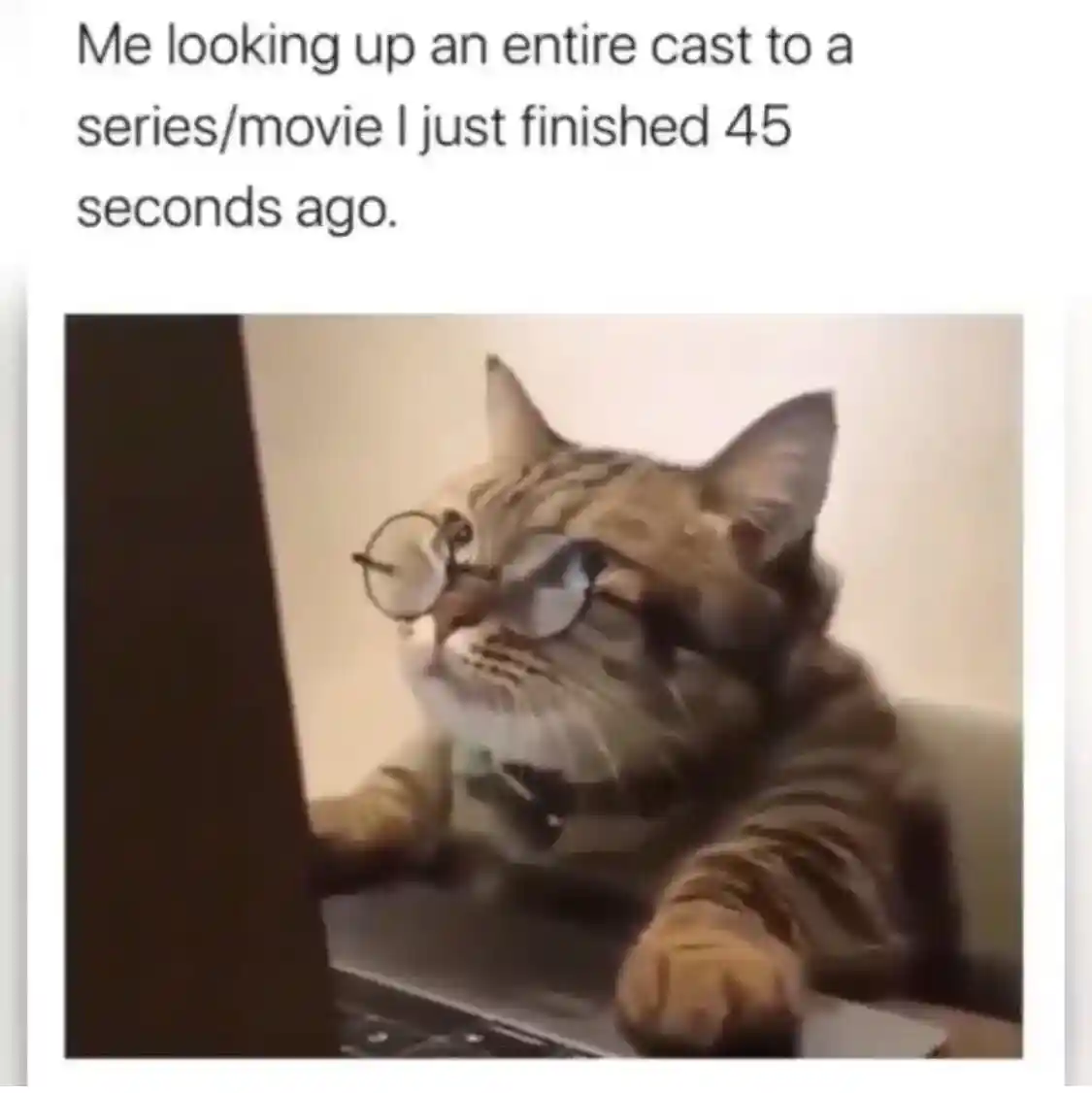 Cat looking up movie cast meme on laptop