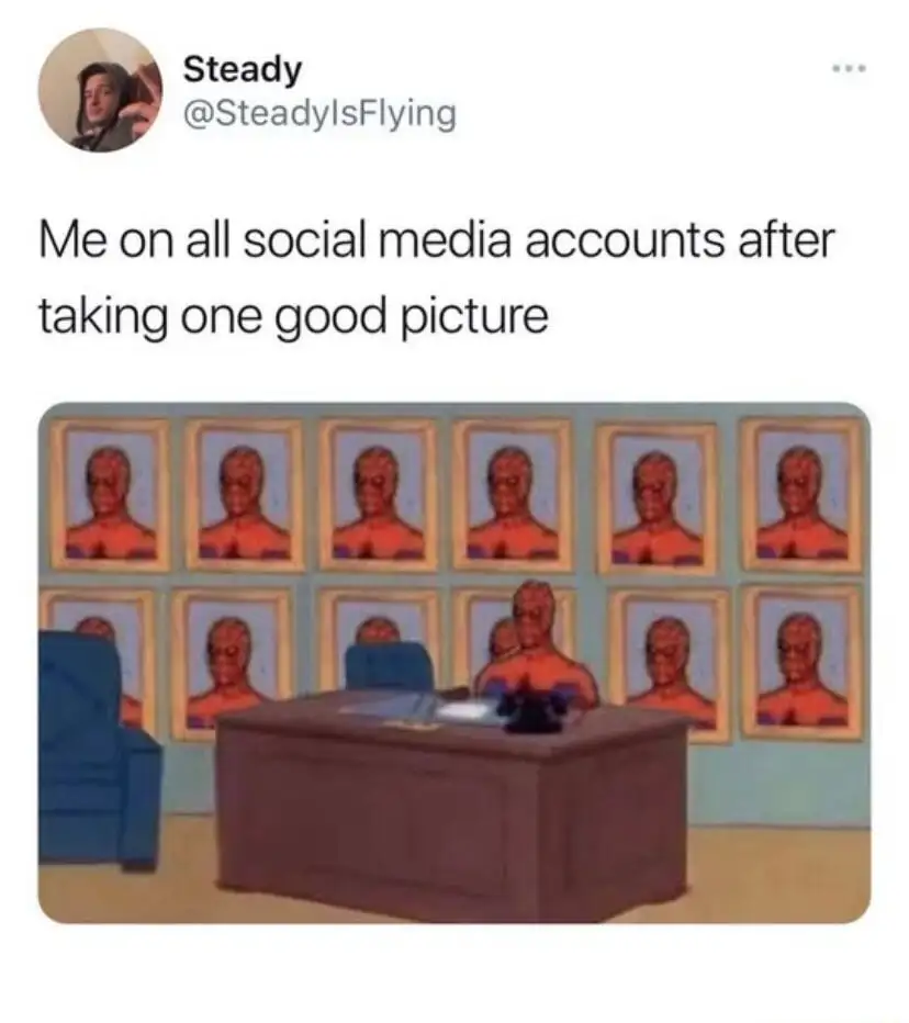 One good photo meme spamming all socials