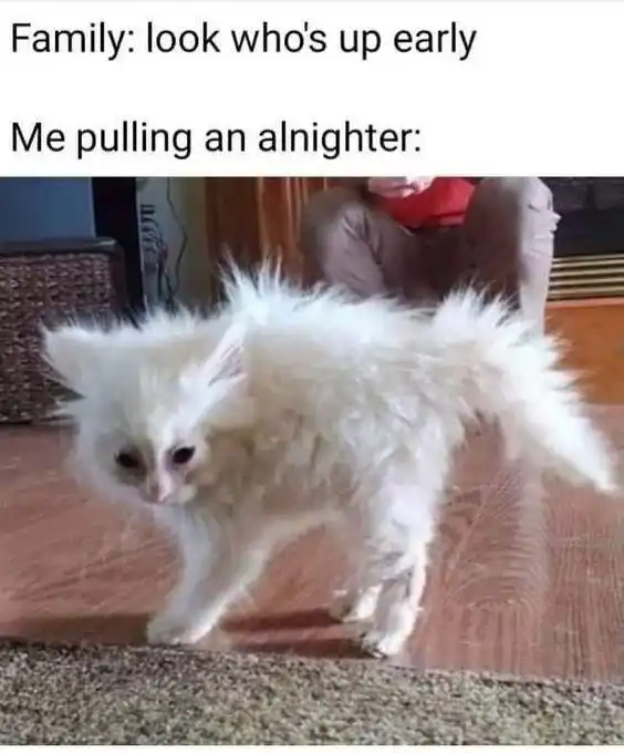Pulling an allnighter meme looking tired when family says you are up early
