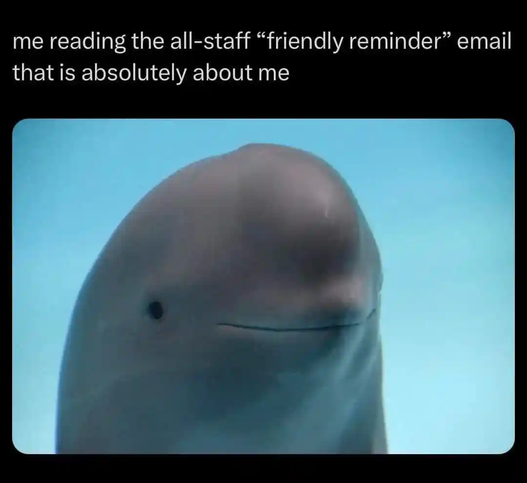 All staff email meme shyly knowing it is you