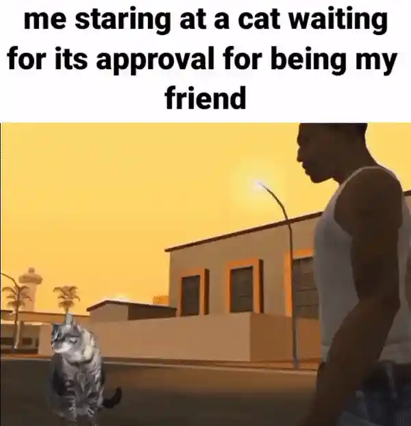 Cat friend approval meme staring at cat