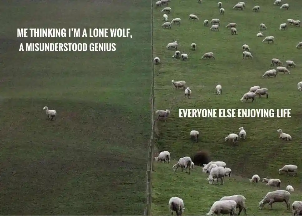 Lone wolf meme vs herd enjoying life