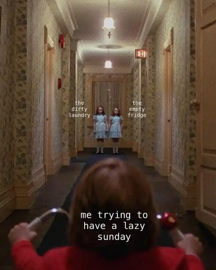 Shining twins meme ruining lazy sunday