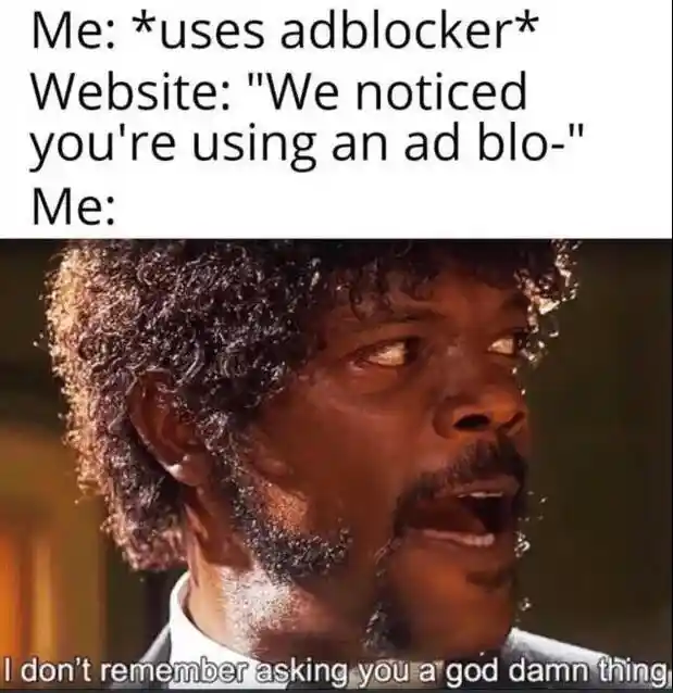 Adblocker meme ignores website ad notice