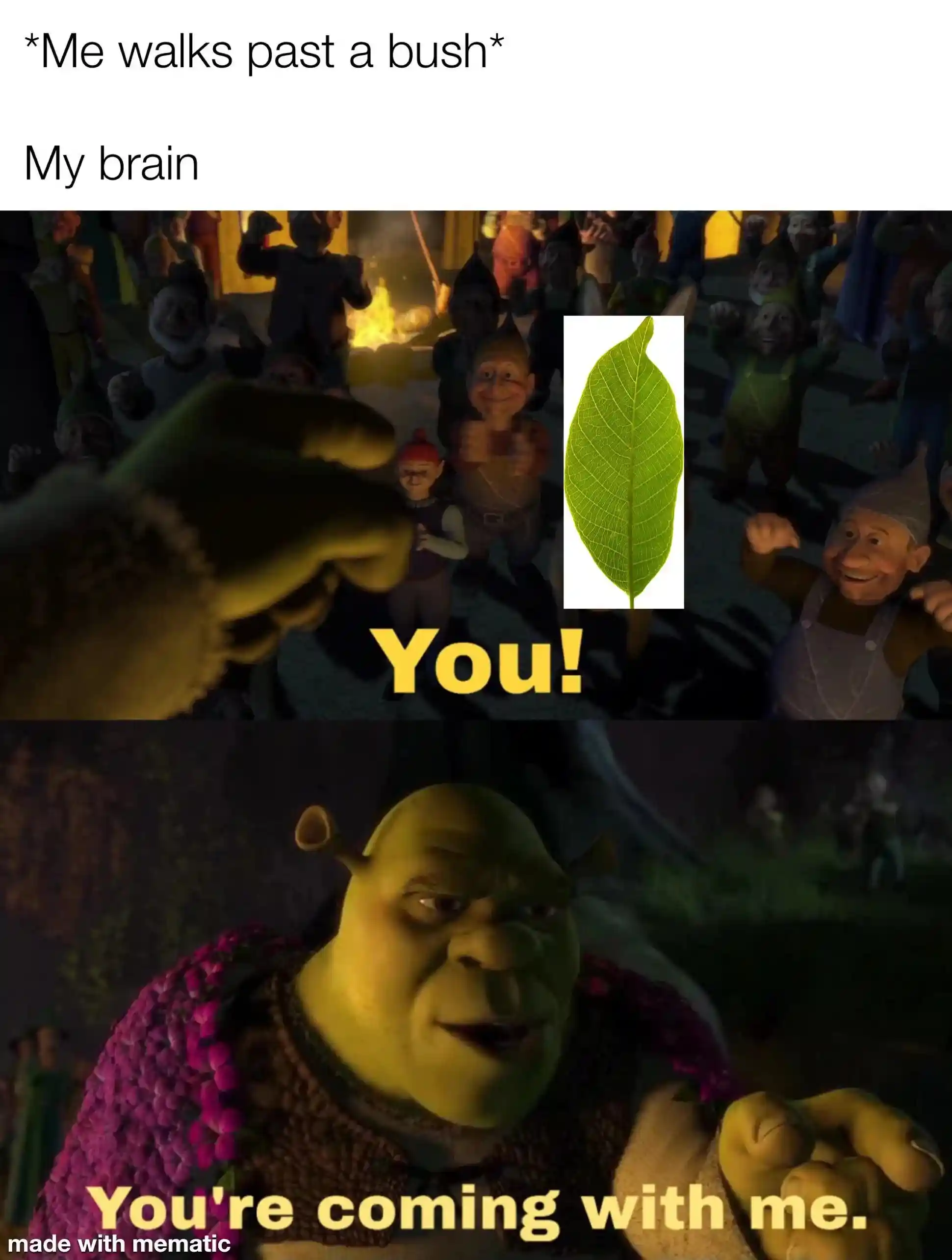 Walk past bush meme brain grabs leaf