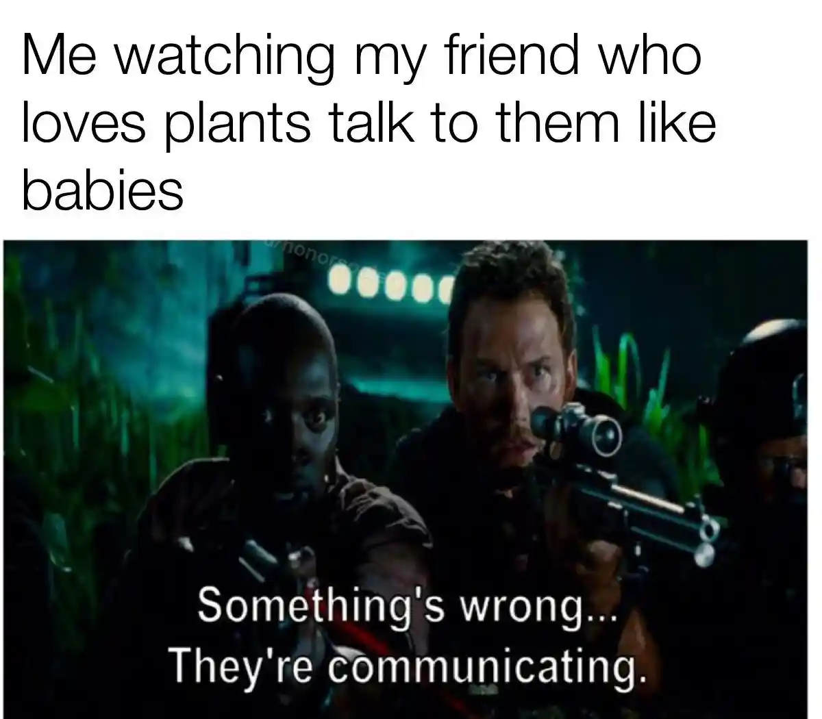 Plant talk meme watching friend confused