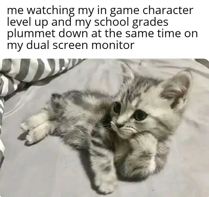 Game level up grades drop meme sad on dual screen