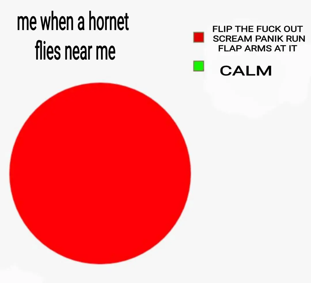 Hornet near me meme panicking screaming